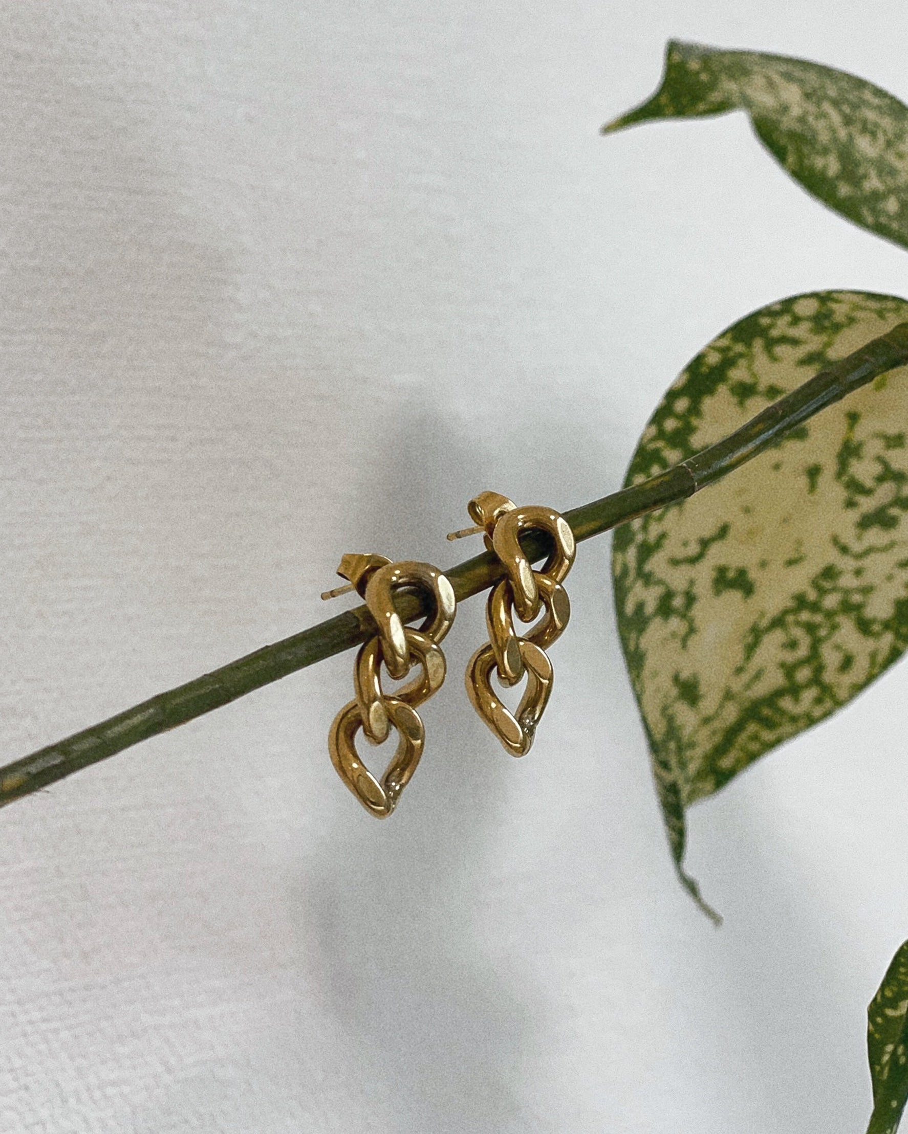 P002［Gold］